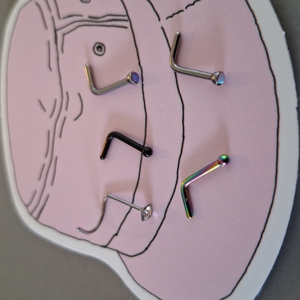 Assorted Nose Rings - Picture 2 of 3